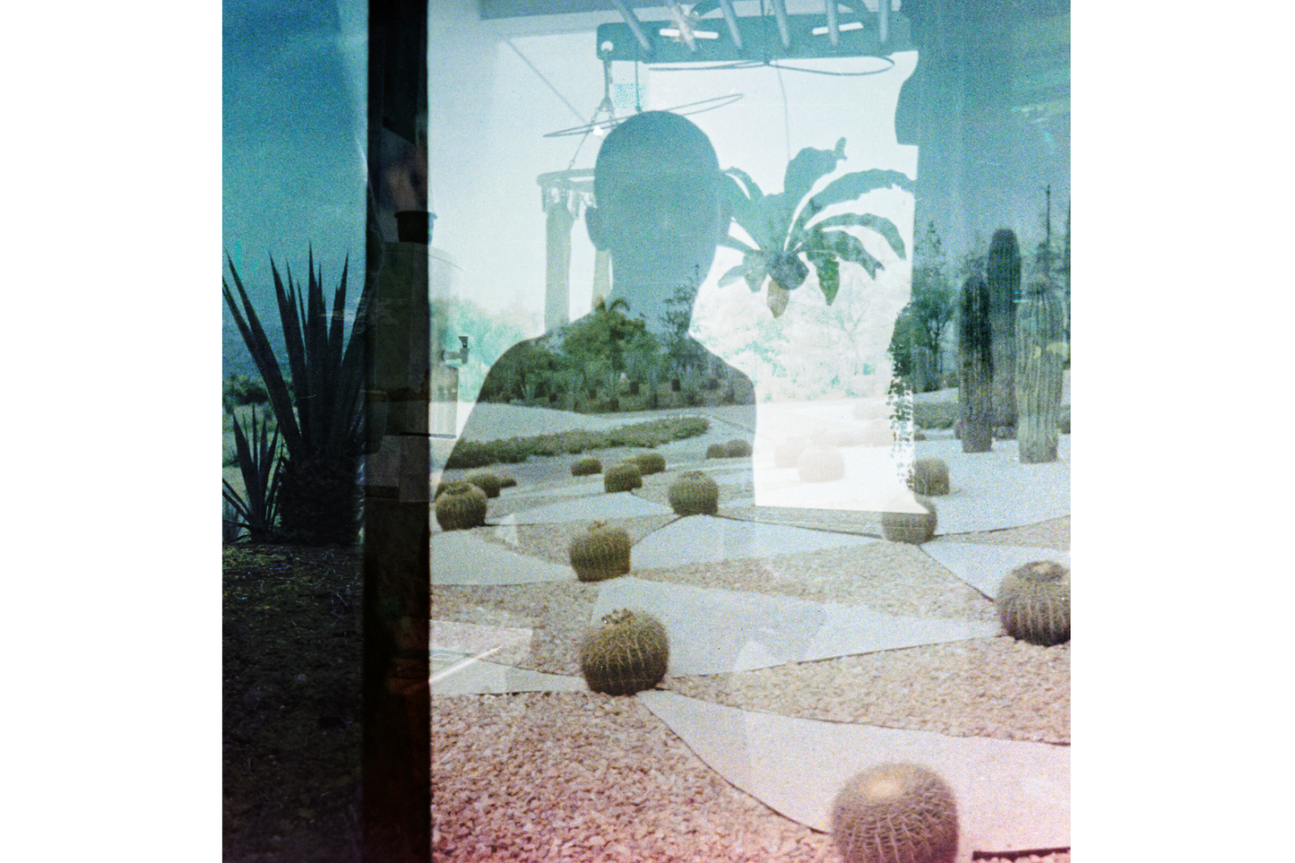 Beyond Borders Bild Singapur Mexico